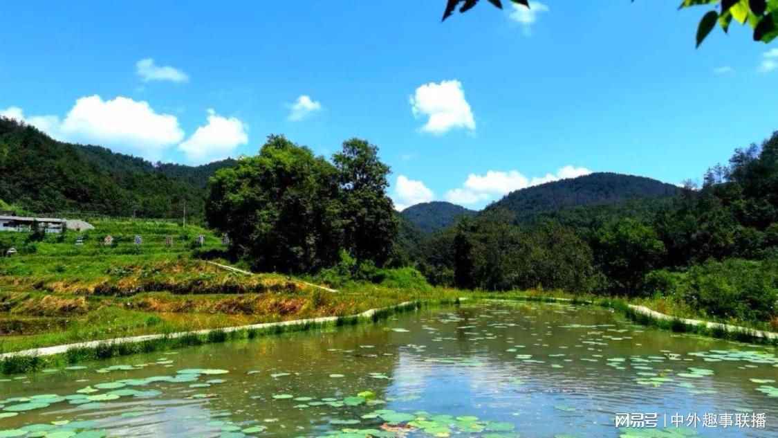 稍早前弹窗推广一体化打造您的企业生态:助力中小企业拓展市场,dy自助下单网址：自动代购服务系统一站式解决方案