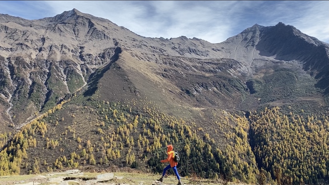 抖音自助下单业务平台低价：稳定性价比优选在线下单助手